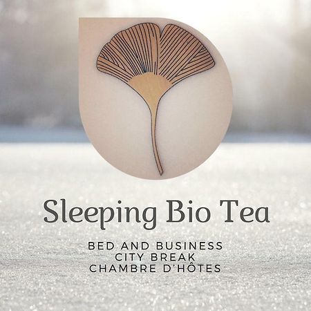 泰昂维Sleeping Bio Tea住宿加早餐旅馆 外观 照片
